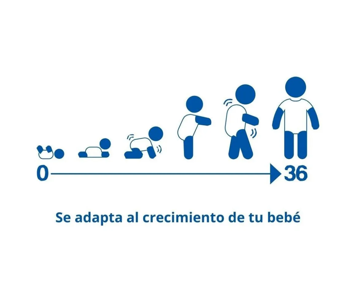 2 Body Bebé (0-36meses) Manga Corta 4 Season Brown