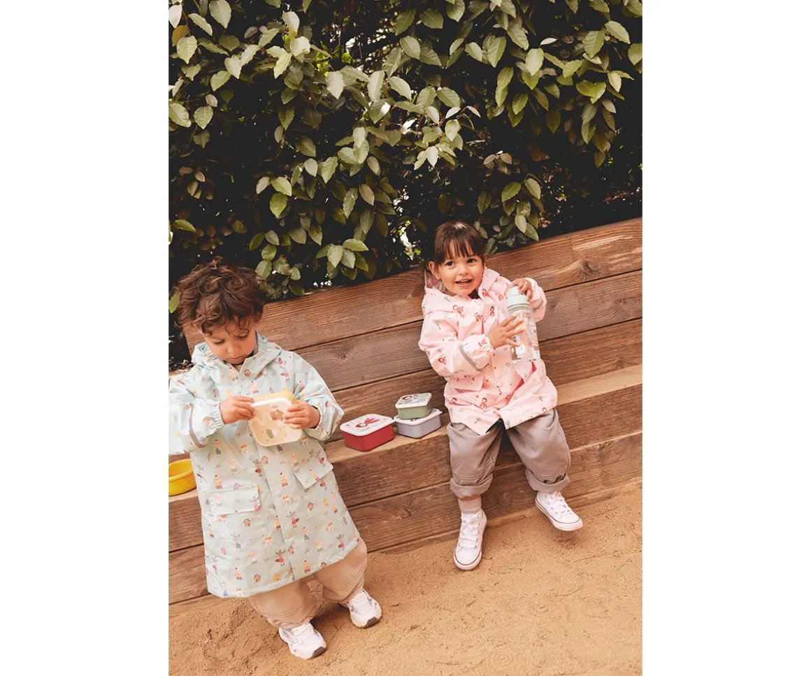 3 Cajas Almuerzo Magical Forest