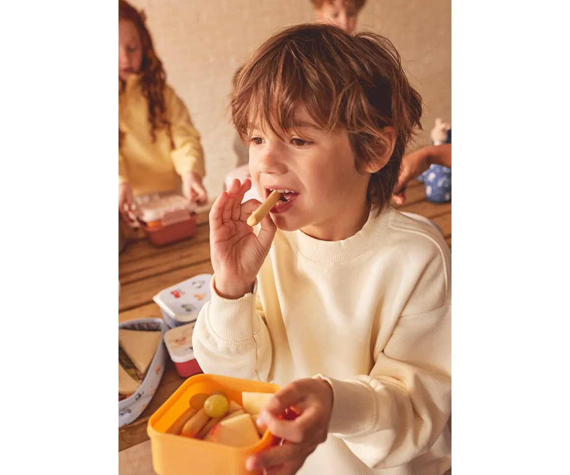 3 Cajas Almuerzo Magical Forest