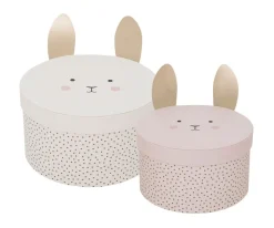 2 Cajas de Almacenaje Bunny