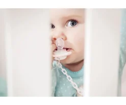 2 Chupetes Lovi Botanic Pink Vintage