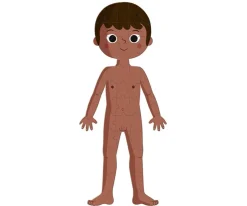 4 Puzles Educativos El Cuerpo Humano