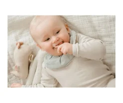 3 Secababitas con Volantes Under the Sea