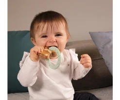 Anillo Mordedor Zorrito