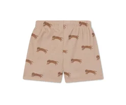 Bañador Short Roamer