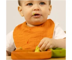 Babero Cathy The Carrot