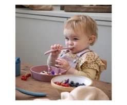 Bol de Silicona Fanto Vintage Rose