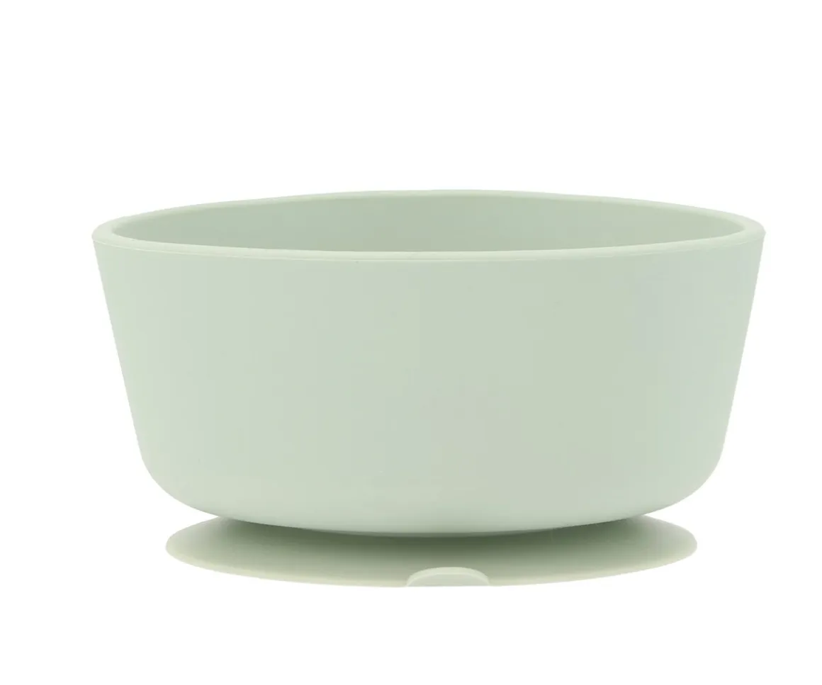 Bol Silicona + Cuchara Acero Sage