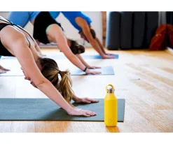 Botella Acero Inoxidable Serie 2 Azul Whale 500ml