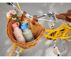 Botella Acero Inoxidable Sunny Explorer Green/Blue 500 ml