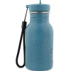 Botella Acero Trixie Mr. Triceratops 350ml
