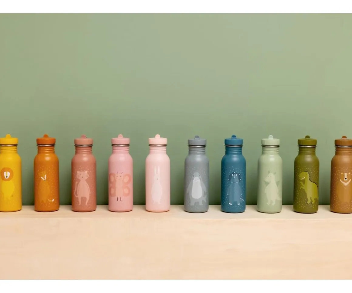 Botella Acero Trixie Mr. Triceratops 350ml