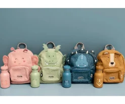 Botella Acero Trixie Mr.Dragon 350ml