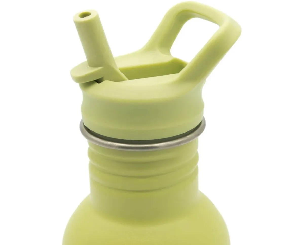 Botella de Acero Dinosaurio 500ml