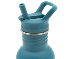 Botella de Acero Elefante 500ml