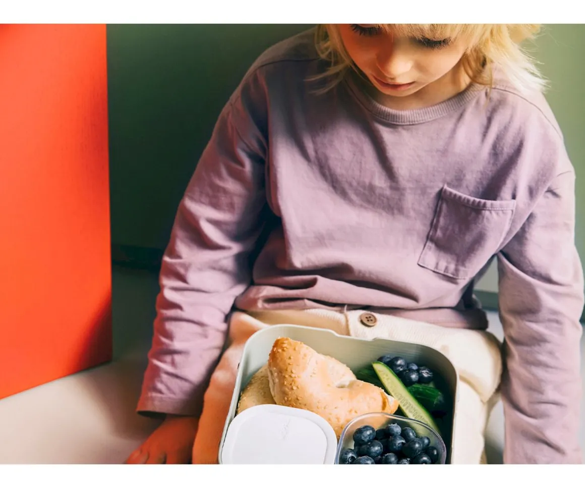 Caja de Almuerzo Bento Campus Grande Dino