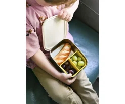 Caja de Almuerzo Funky Dogs