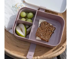 Caja de Almuerzo Teeny Toes