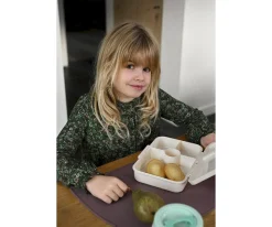 Caja de Almuerzo Tritán Veggie Pals