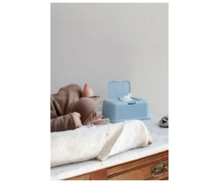 Caja Toallitas Funkybox Azul Caballito de Mar