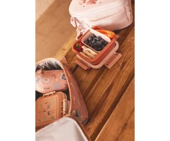 Cajita Almuerzo Geometric Nature