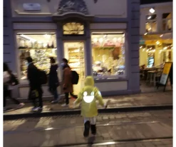 Chaqueta Impermeable Cortavientos Wistiti Amarilla