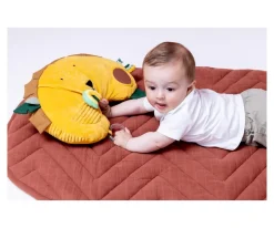 Cojín de Actividades Mr. Lion