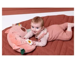 Cojín de Actividades Mrs. Cat