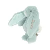 Conejito Pequeño Kanini Pearl Blue Personalizable
