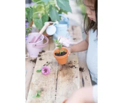 Cubo Metal Fairy Garden