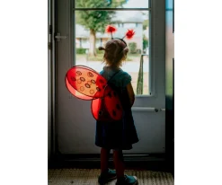 Disfraz Alas de Mariquita y Diadema 3 Años