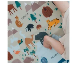 Enrollagateo Simple Estampado Mapa Mundi