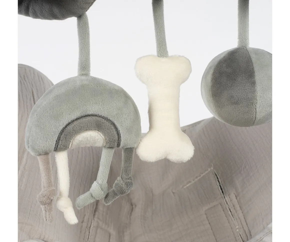 Espiral de Actividades Dog Sintra Verde