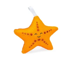 Esponja Marina Estrella