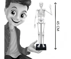 Esqueleto 45 cm