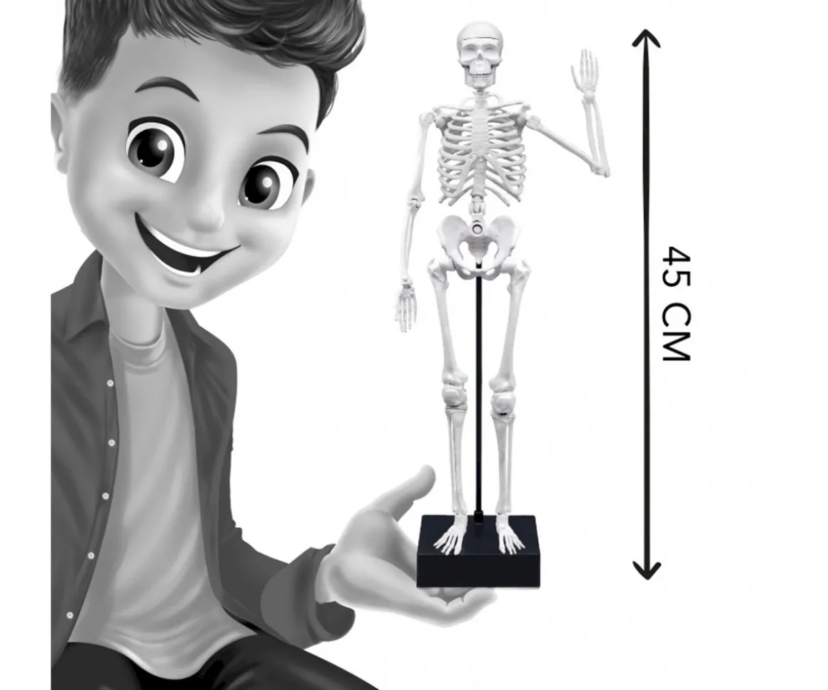 Esqueleto 45 cm