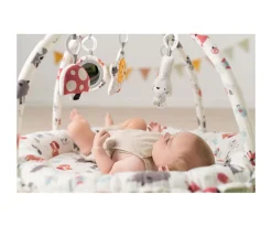 Gimnasio de Actividades Reversible Forest Green