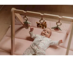 Gimnasio Infantil Madera Fairy Garden