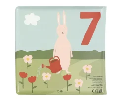 Libro de Baño para Contar Mr.Fox and Friends