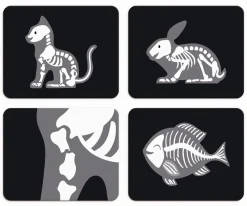 Maletín de Veterinario