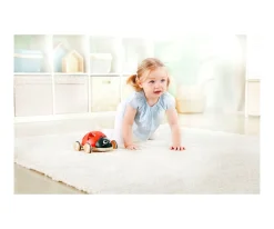 Mariquita Clasificadora de Formas