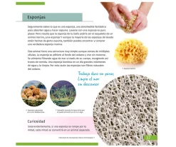 Microscopio Levenhuk LabZZ M101 Naranja + Libro Educativo