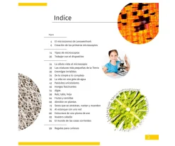 Microscopio Levenhuk LabZZ M101 Gris + Libro Educativo