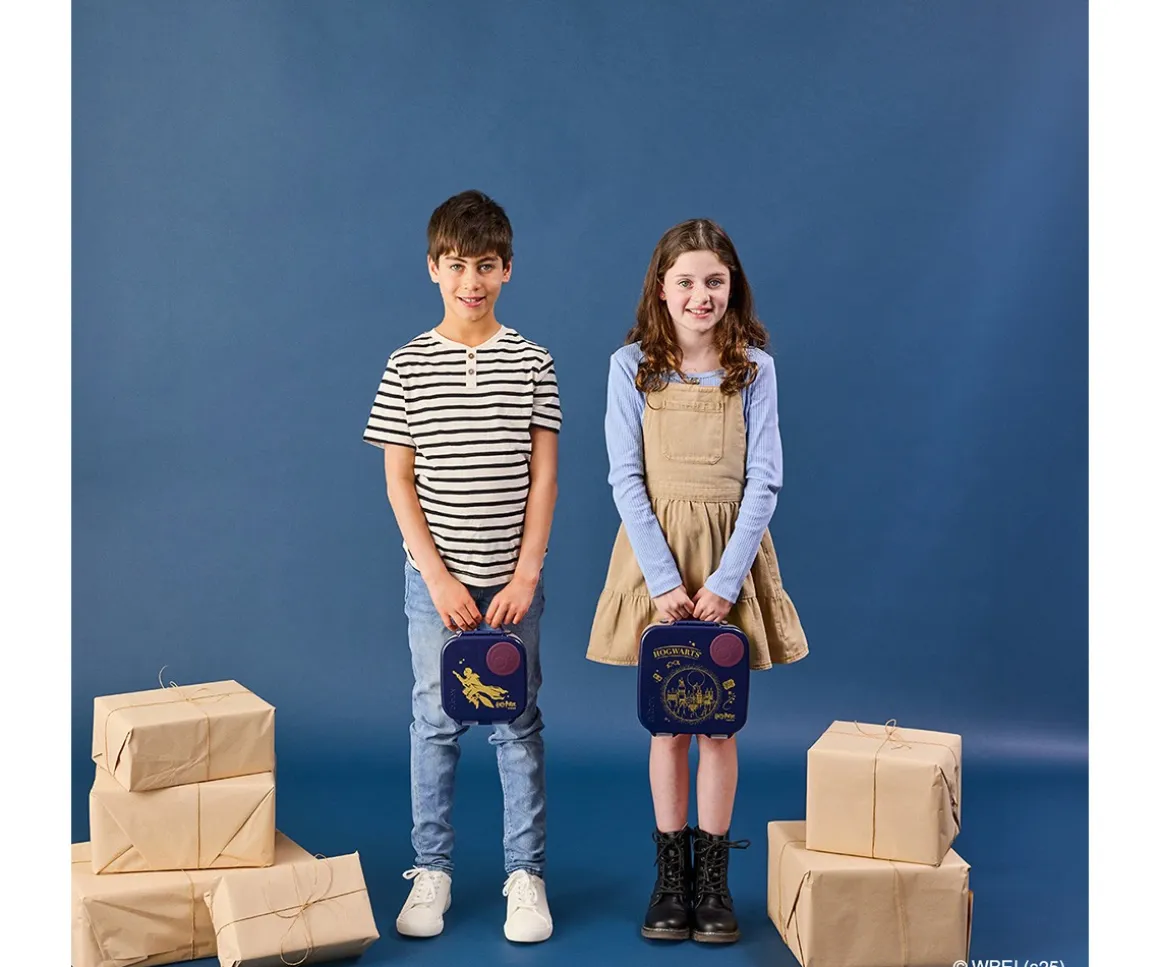 Mini Caja Almuerzo Harry Potter