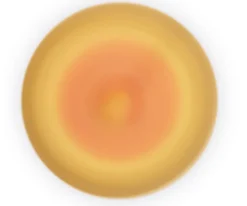 Mini Peonza Pocket Cerdo