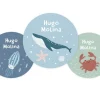 Pack 3 chapas Personalizadas Ocean