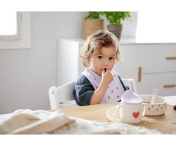 Pack de 5 baberos Happy Lavender