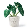 Peluche Alocasia Bonsai