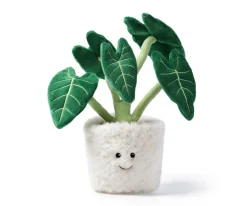 Peluche Alocasia Bonsai