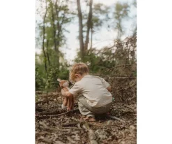 Peluche Zorro Grande Forest Friends